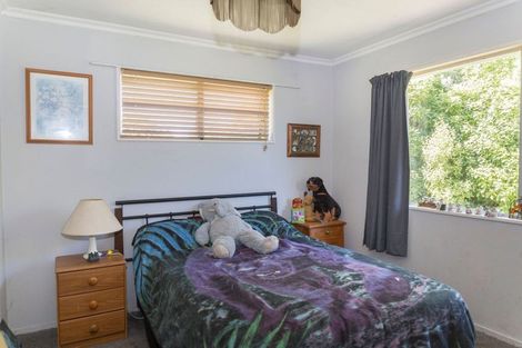 Photo of property in 12 Mathew Street, Dannevirke, 4930