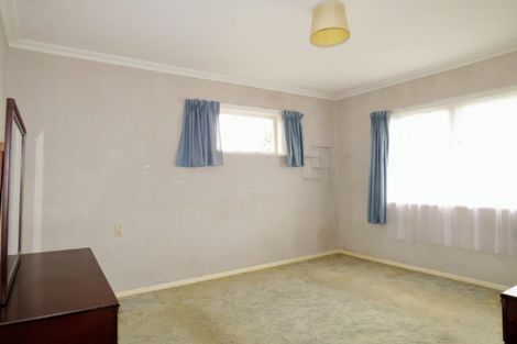 Photo of property in 16 Bledisloe Street, Levin, 5510