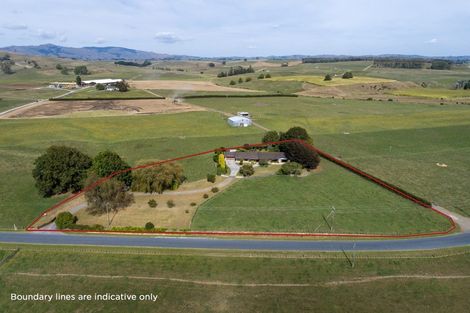 Photo of property in 345 Milliken Road, Richmond Downs, Morrinsville, 3371