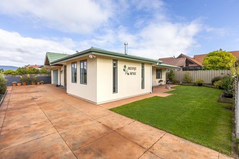 Photo of property in 11b Bedford Terrace, Waipukurau, 4200