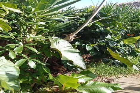 Photo of property in 40 Judea Road, Judea, Tauranga, 3110