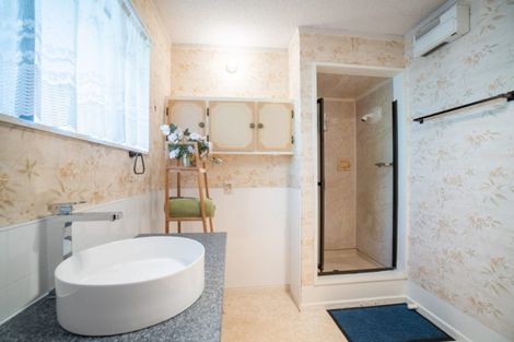 Photo of property in 68a Albert Street, Palmerston North, 4414