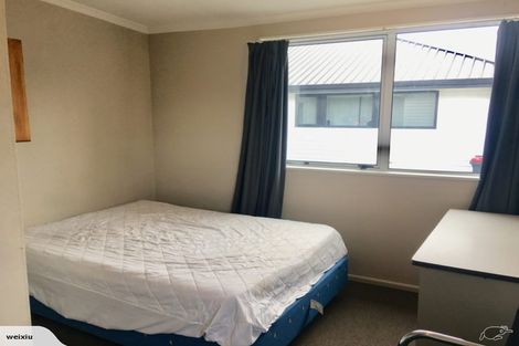 Photo of property in 17 Suffolk Street, Phillipstown, Christchurch, 8011