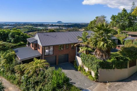 Photo of property in 186b Minden Road, Minden, Tauranga, 3176