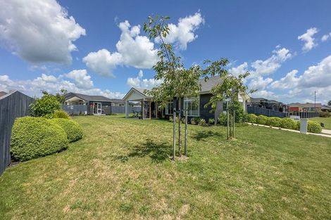 Photo of property in 16 Richardson Road, Matamata, 3400