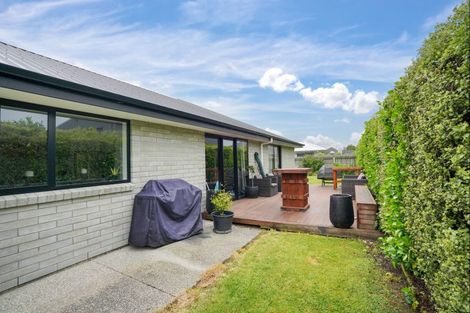 Photo of property in 19 Dallard Way, Waikiwi, Invercargill, 9810