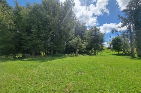 Photo of property in 358 Mangaotaki Road, Piopio, 3971