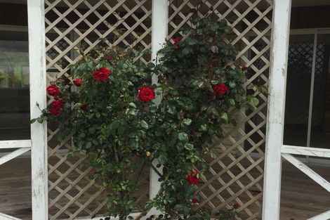 Photo of property in 204 Puketutu Road, Matamata, 3472