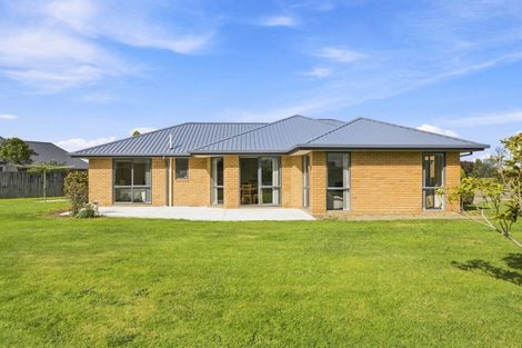 Photo of property in 9 Clifford Place, Amberley, 7410