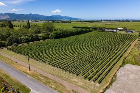 Photo of property in 5 Brook Street, Renwick, 7204