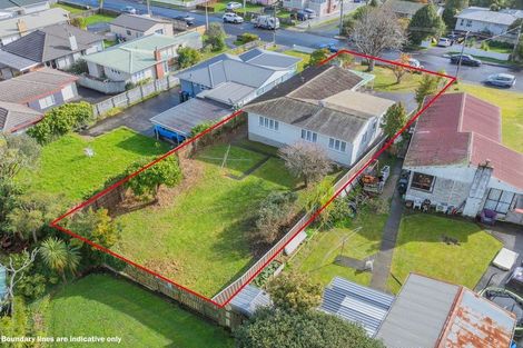 Photo of property in 58 Webster Avenue, Mount Roskill, Auckland, 1041