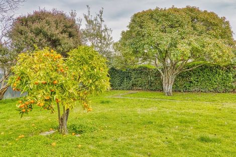 Photo of property in 66a Douglas Mclean Avenue, Marewa, Napier, 4110