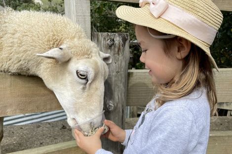 Photo of property in 308 Henderson Valley Road, Henderson Valley, Auckland, 0612