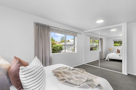 Photo of property in 41 Sandwich Road, Beckenham, Christchurch, 8023