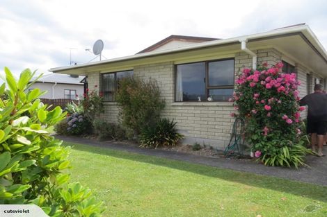 Photo of property in 21a Bowen Street, Cambridge, 3434