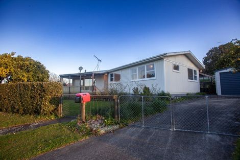 Photo of property in 15 Frances Street, Tirau, 3410