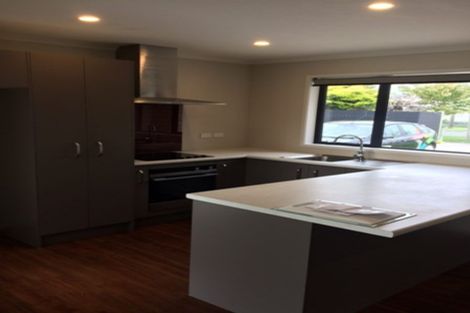 Photo of property in 46 Monmouth Street, Feilding, 4702