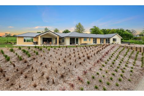 Photo of property in 920a Bond Road, Te Awamutu, 3879