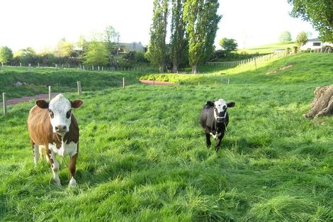 Photo of property in 215 Somerville Road, Tapapa, Tirau, 3485