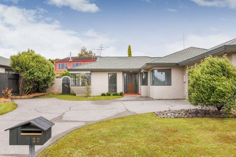 Photo of property in 25 Vista Drive, Feilding, 4702