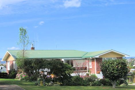 Photo of property in 14 Regent Street, Brookfield, Tauranga, 3110