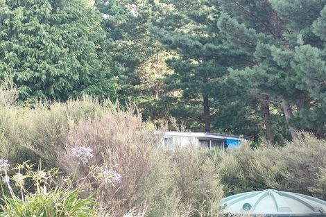 Photo of property in 565 Birch Road East, Herbertville, Dannevirke, 4970