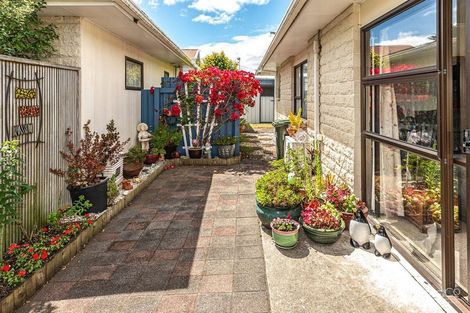 Photo of property in 19b Fergusson Street, Springvale, Whanganui, 4501
