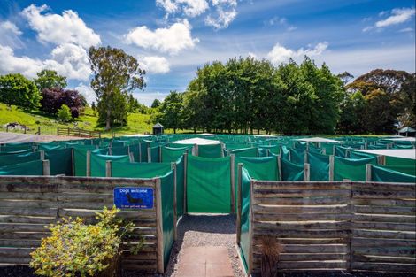 Photo of property in 8 Palmer Mill Road, Wairakei, Taupo, 3384