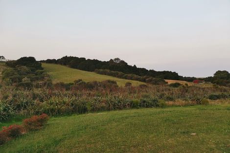 Photo of property in 667 Kaiwaka-mangawhai Road, Hakaru, Wellsford, 0975