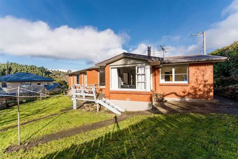 Photo of property in 58 Manchester Street, Bradford, Dunedin, 9011