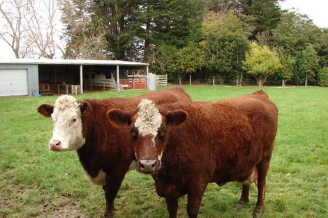 Photo of property in 286 Bay Road, West Plains, Invercargill, 9879