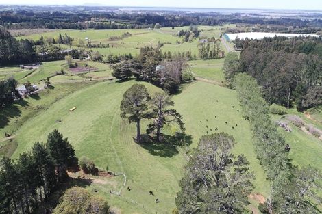 Photo of property in 348b Rea Road, Tahawai, Katikati, 3178