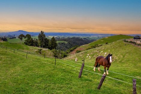 Photo of property in 412 Pekanui Road, Puketotara, Te Awamutu, 3876