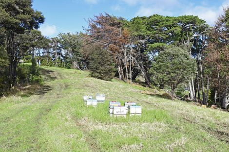 Photo of property in 99 Birdsall Road, Whangateau, Warkworth, 0985