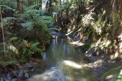 Photo of property in 40 Napuka Road, Henderson Valley, Auckland, 0612