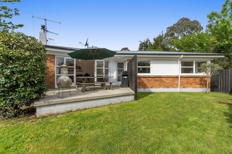 Photo of property in 20 Sharyn Place, Brookfield, Tauranga, 3110