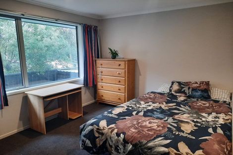 Photo of property in 54b Cowes Street, Avondale, Christchurch, 8061