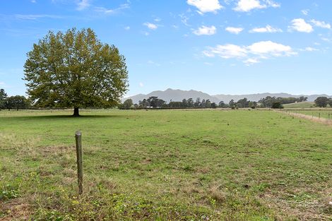 Photo of property in 38 Ngarua Road, Waitoa, 3310