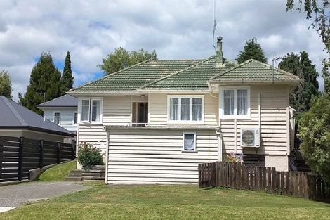 Photo of property in 20b Terrace Street, Putaruru, 3411