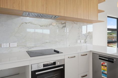 Photo of property in 14 Celeste Terrace, Peacocke, 3206