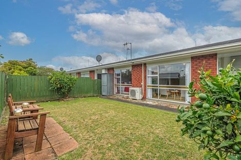 Photo of property in 4/150 Albert Street, Terrace End, Palmerston North, 4410