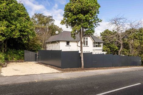 Photo of property in 46 Tanner Street, Havelock North, 4130