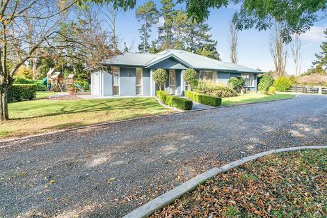Photo of property in 87b Fuchsia Lane, Tamahere, Hamilton, 3284