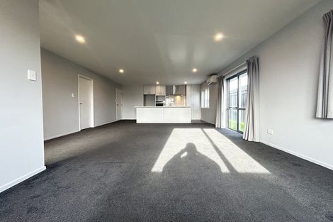 Photo of property in 22 Hannington Way, Rolleston, 7615