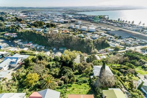 Photo of property in 24 Roslyn Road, Bluff Hill, Napier, 4110