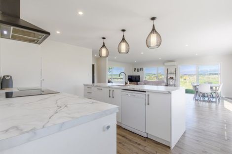 Photo of property in 158 Caldwell Road, Ongaonga, 4279