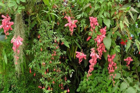 Photo of property in 103 Block Road, Hikutaia, Paeroa, 3674