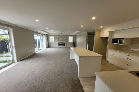 Photo of property in 1/175 Carrington Street, Lower Vogeltown, New Plymouth, 4310
