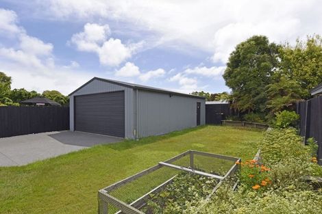 Photo of property in 42 Petrie Street, Richmond, Christchurch, 8013
