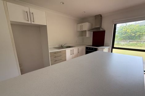 Photo of property in 156 Polo Prince Drive, Alfriston, Auckland, 2105